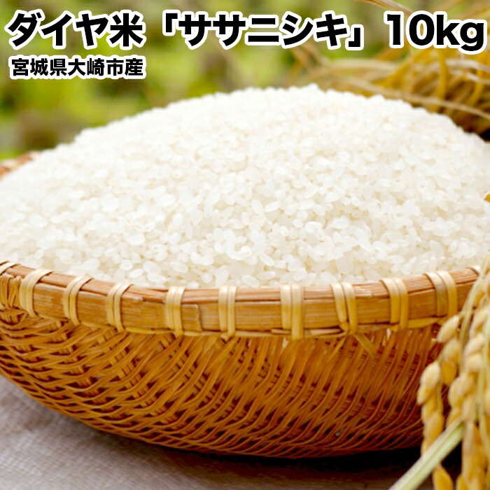 最適な価格 令和2年産 ダイヤ米宮城県大崎市産ササニシキ 白米10kg 楽天ランキング1位 Barguna Police Gov