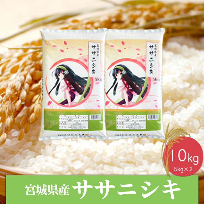 【ふるさと納税】《精米》令和6年産 宮城県産ササニシキ10kg