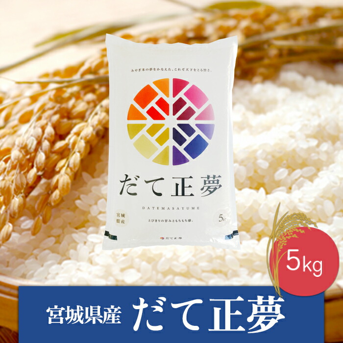 【ふるさと納税】《精米》令和6年産 宮城県産だて正夢5kg