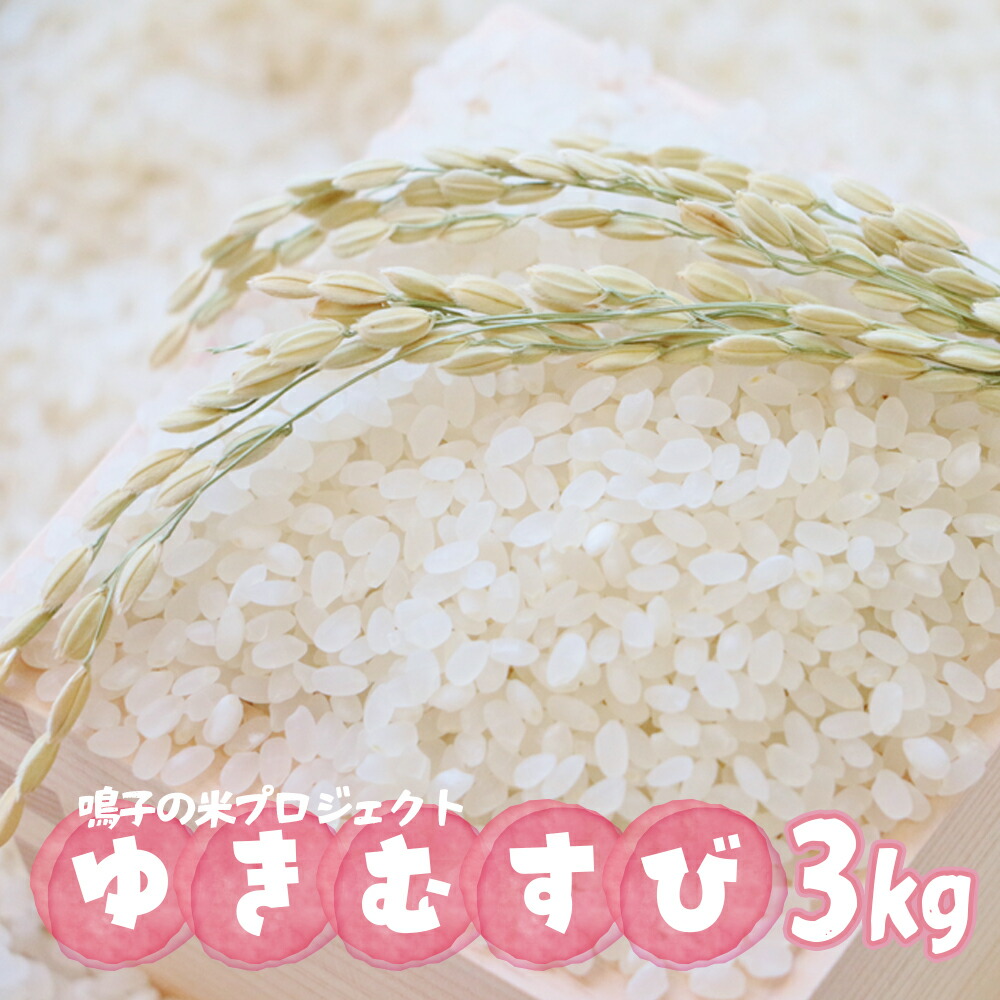 【ふるさと納税】鳴子の米プロジェクト ゆきむすび 3kg【2025年産】 米 お米 ごはん 白米 精米 鳴子温泉産米 お米鳴子のお米 大崎市産 宮城県 大崎市｜宮城県大崎市