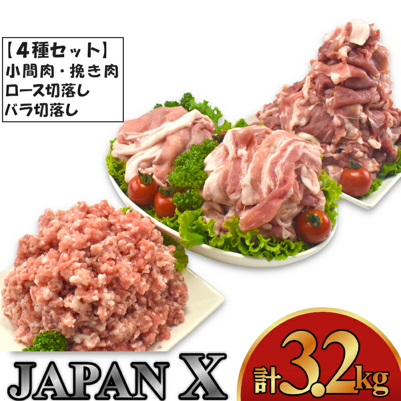 【ふるさと納税】豚肉 小分け 切り落し JAPAN X 豚肉バラエティセット 3.2kg  切落し スライス ミンチ 送料無料  肉 グルメ 人気 冷凍 時短 国産 【04301-0366】 ふるさと納税宮城県 ふるさと納税蔵王町