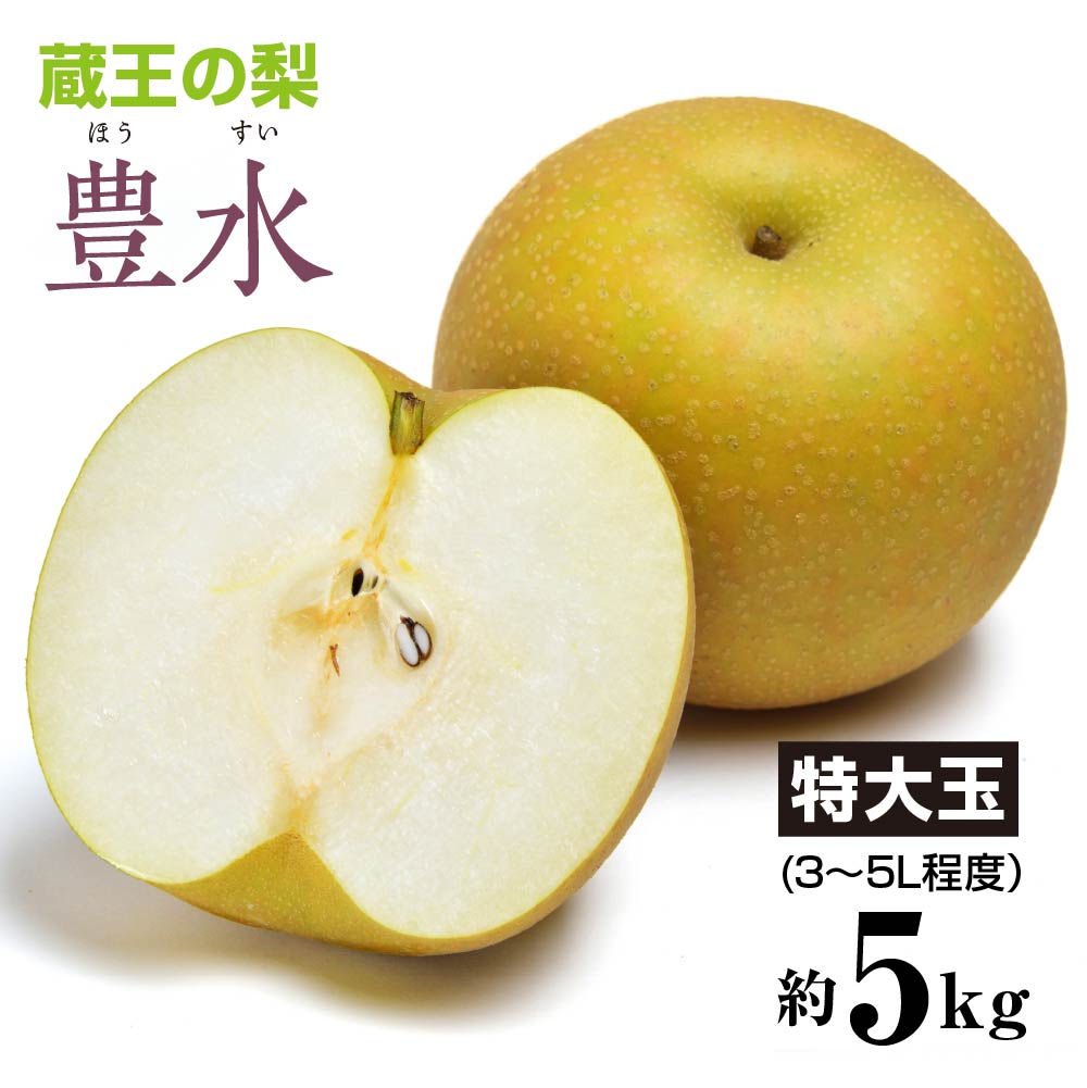 【ふるさと納税】【先行予約】蔵王の梨 豊水約5kg 特大玉(3～5L程度）　【04301-0142】