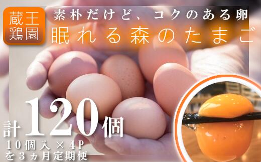 【ふるさと納税】【３か月連続お届け】眠れる森のたまご　朝採れ卵40個　【04301-0325】
