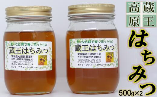 【ふるさと納税】蔵王高原はちみつ詰合せ　500g×2本　【04301-0286】
