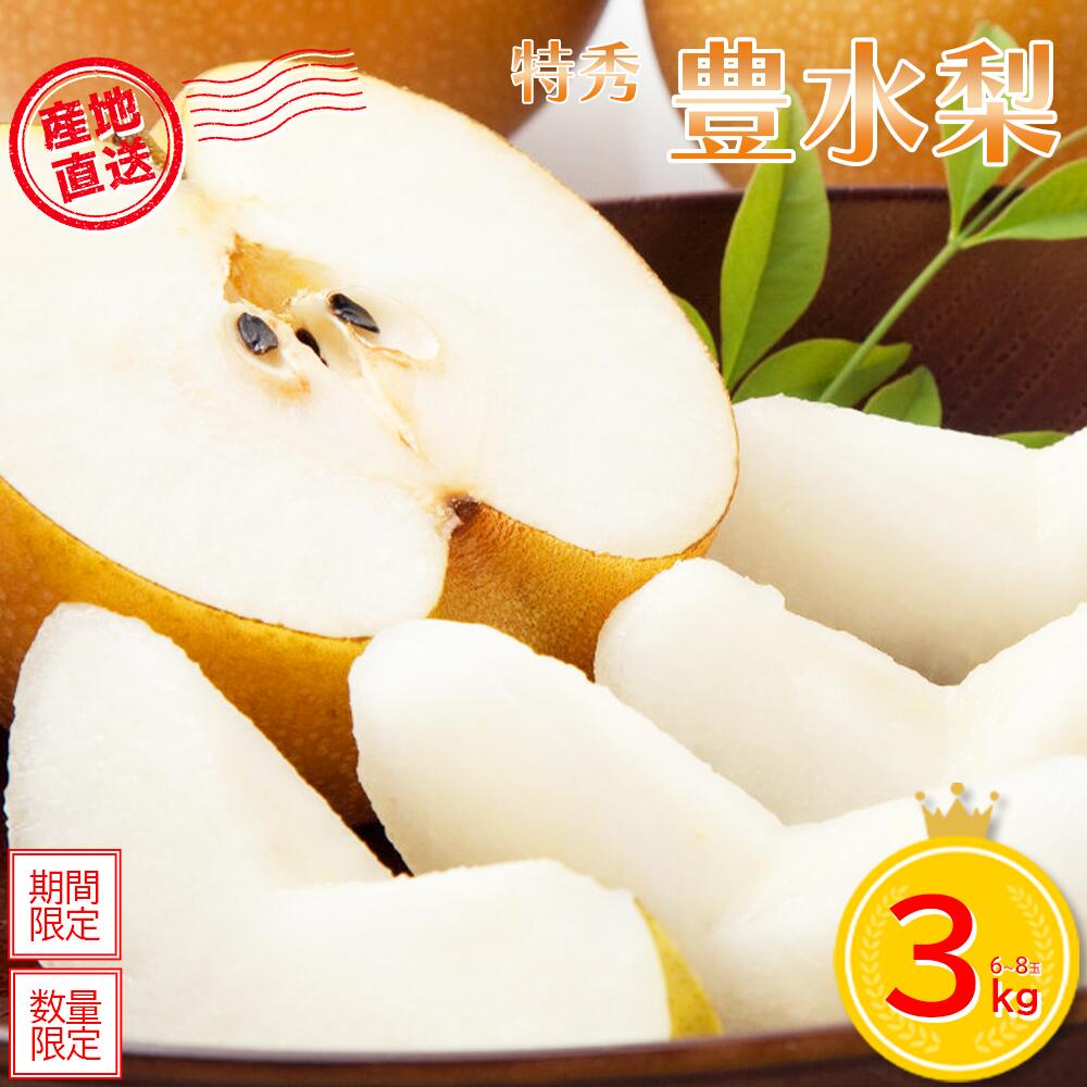 【ふるさと納税】＜先行予約＞ 蔵王町産【特秀】豊水梨3kg箱詰め　【04301-0604】