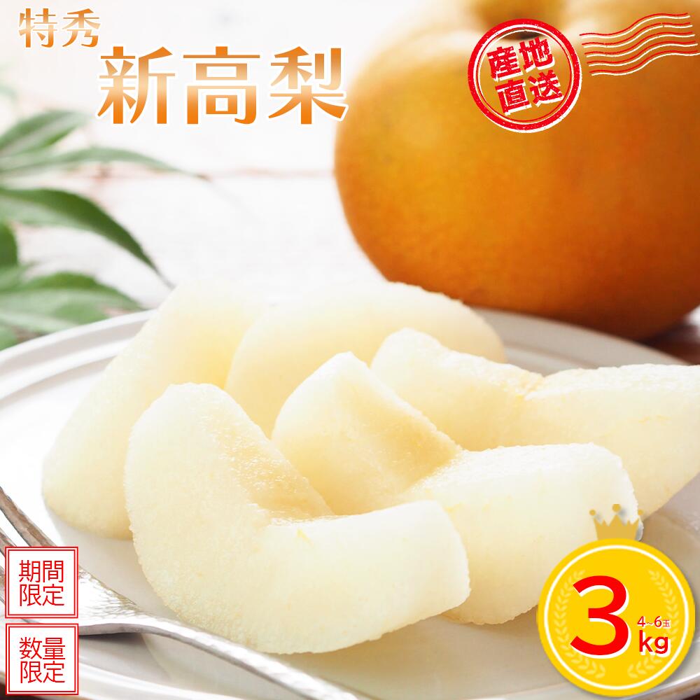 【ふるさと納税】＜先行予約＞蔵王町産【特秀】新高梨3kg箱詰め　【04301-0605】