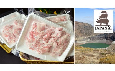 【ふるさと納税】牧場直送JAPANX豚小間切り落とし/計3kg【お肉・豚肉】