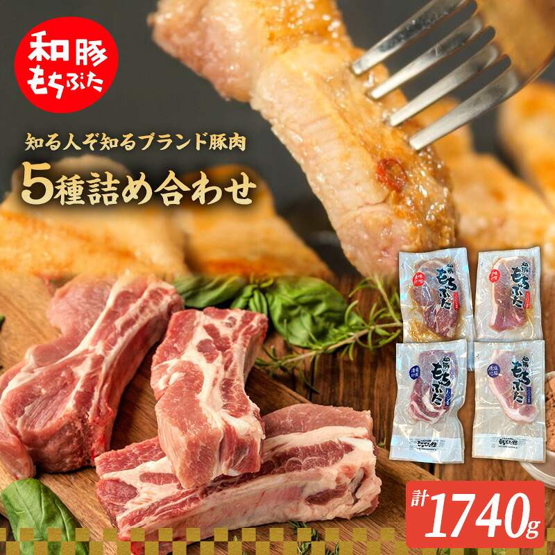 【ふるさと納税】もちぶた 加工品 5種 詰め合わせ セット モモ 肩ロース 味噌漬け 塩糀漬け120g 3パック スペアリブ 300g 和豚 もち豚 豚肉 ポーク お肉 肉 豚 ぶた ブタ ロース もも肉 精肉 加工肉 アウトドア スペシャルキャンペーン
