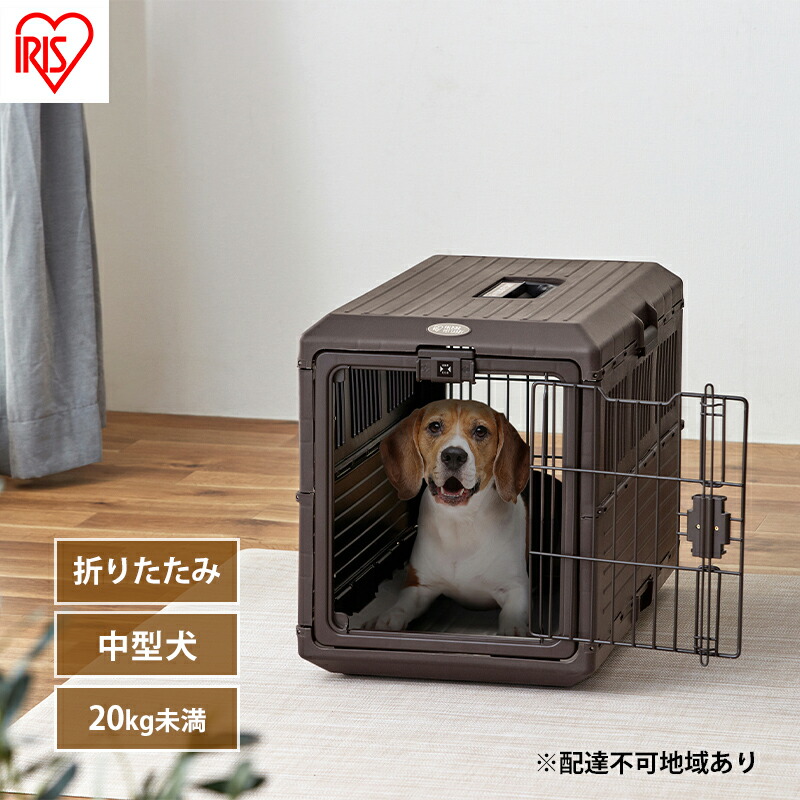 大河原町の最強送りとどける！またの日お届け！