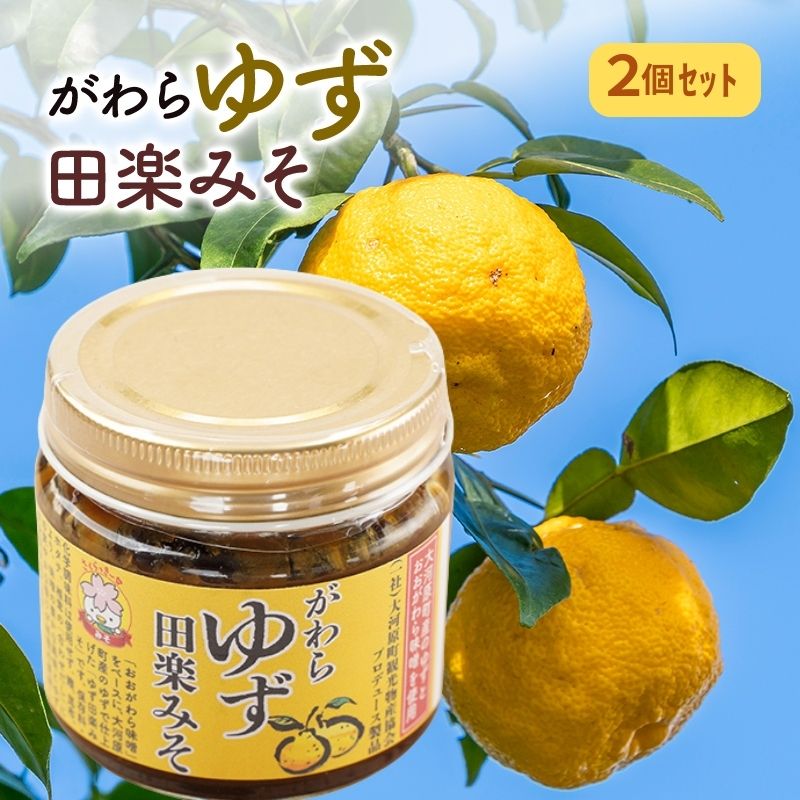 【ふるさと納税】大河原町観光物産協会「がわらゆず田楽みそ」2個セット 加工食品 調味料 田楽 みそ 味噌 薬味 味付け 田楽味噌