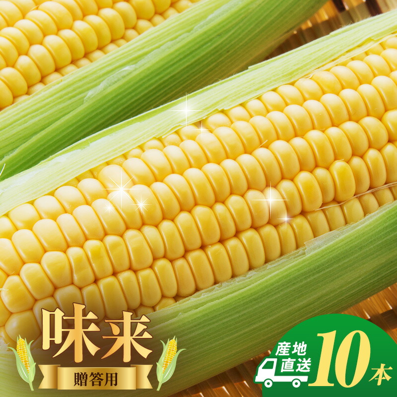 【ふるさと納税】とうもろこし 味来 贈答用 10本 トウモロコシ 宮城県産 甘い 夏 朝採れ 産地直送 宮城県 大河原町　お届け：2026年7月中旬から8月下旬まで