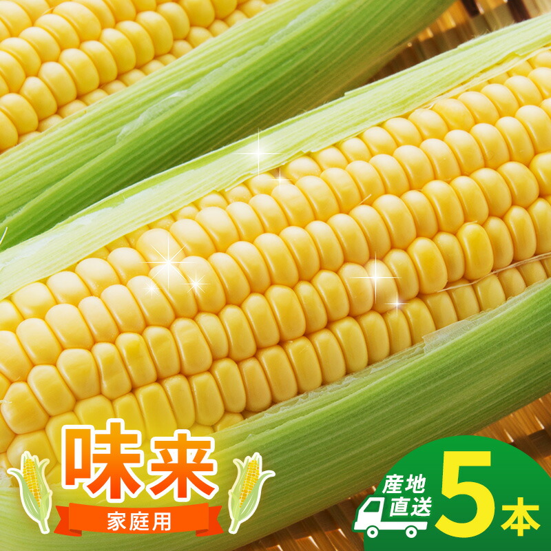 【ふるさと納税】とうもろこし 味来 家庭用 5本 訳アリ トウモロコシ 宮城県産 甘い 夏 朝採れ 訳あり 産地直送 宮城県 大河原町　お届け：2026年7月中旬から8月下旬まで