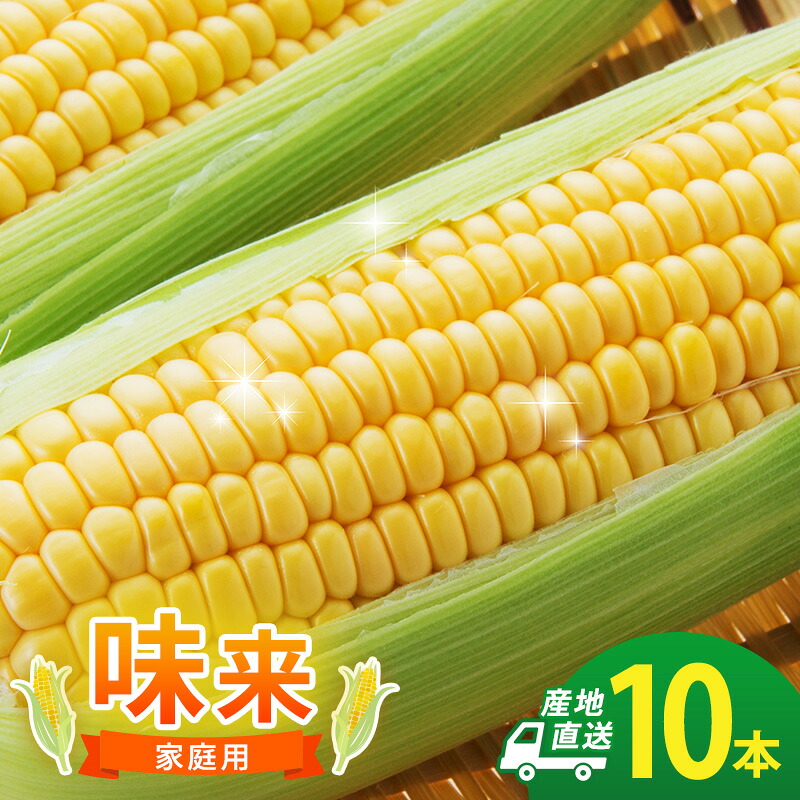 【ふるさと納税】とうもろこし 味来 家庭用 10本 訳アリ トウモロコシ 宮城県産 甘い 夏 朝採れ 訳あり 産地直送 宮城県 大河原町　お届け：2026年7月中旬から8月下旬まで