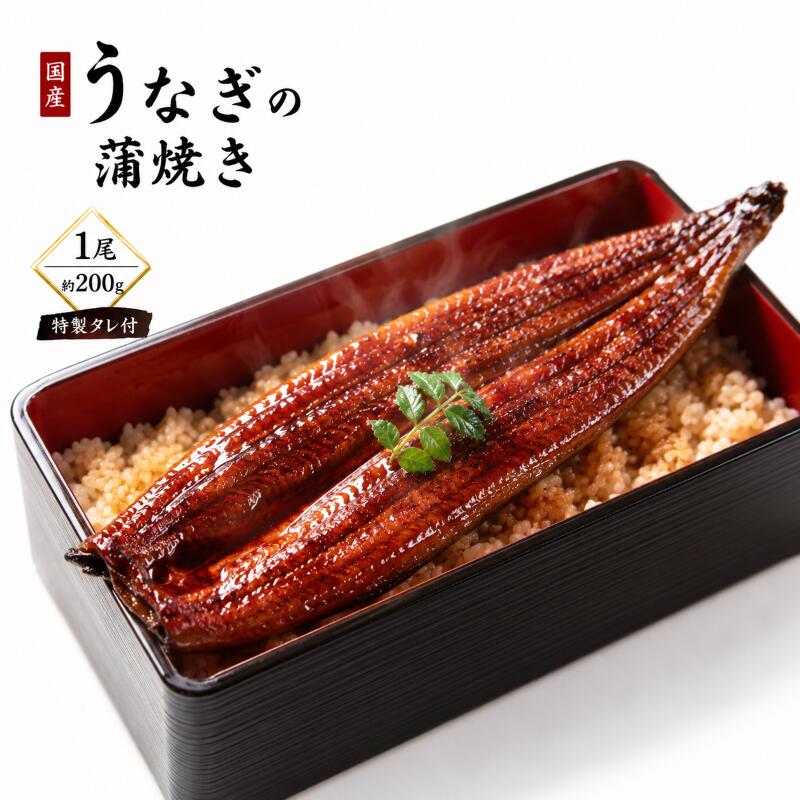 【ふるさと納税】【国産うなぎ】ふっくら香ばしい 鰻の蒲焼き 1尾 容量200g 特製タレ付 うなぎ ウナギ 蒲焼 うな重 温めるだけ 湯せん ギフト 贈り物｜宮城県大河原町
