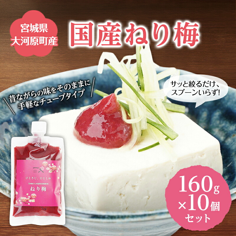 【ふるさと納税】大河原産 昔ながらのねり梅 160g 10袋セット お弁当や和え物に ねり梅 練り梅 練梅 梅干し 梅干 うめぼし ウメボシ 梅 おにぎり 弁当 お弁当｜宮城県大河原町