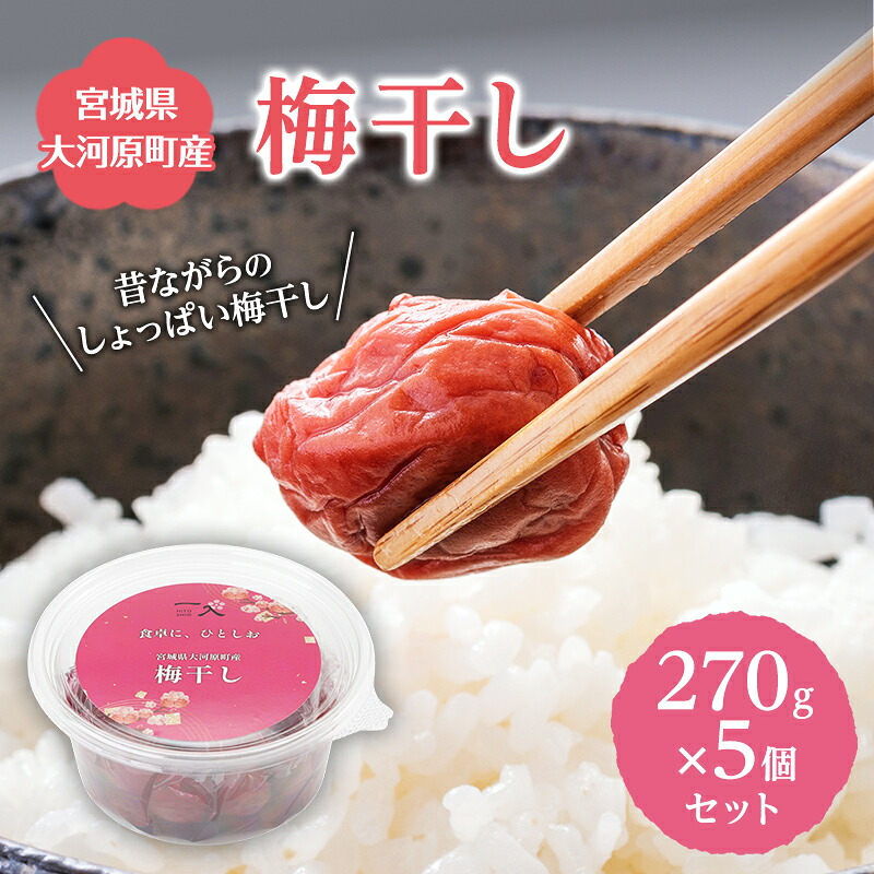 【ふるさと納税】大河原産 昔ながらのすっぱいしそ梅干し 270g 5個セット ご飯のお供に 梅干し 梅干 うめぼし ウメボシ 梅 ごはんのお供 ご飯のお供 おにぎり 弁当 お弁当|宮城県大河原町