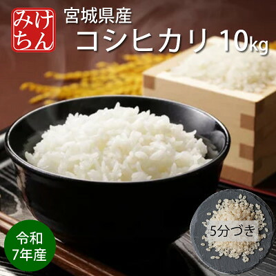 【ふるさと納税】令和7年産　宮城県産コシヒカリ 5分づき精米　10kg【1726806】｜宮城県村田町