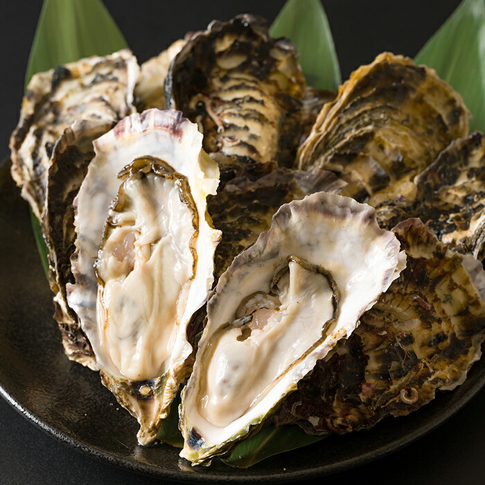 【ふるさと納税】殻付き牡蠣（生食用）冷凍 選べる内容量 2kg～5kg 生牡蠣 宮城県産 牡蛎 牡蠣 カキ かき 生食 オイスター カキフライ 牡蠣鍋 海鮮 国産 魚貝類 バーベキュー BBQ【カタクチ商店株式会社】sh183・sh184・sh185・sh186｜宮城県柴田町