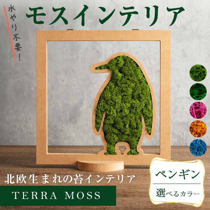 【ふるさと納税】モスインテリア「ペンギン」＜横200mm・高さ200mm・幅15mm＞ スプリンググリーン・アップルグリーン・フクシャ・フォールイエローブルー 選べるカラー 観葉植物 苔 コケ テラモス インテリア 植物 【結び】 sh030-A・sh030-B・sh030-C・sh030-D・sh030-E