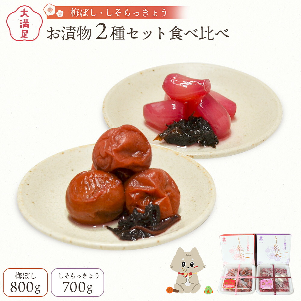 【ふるさと納税】大満足　お漬物２種セット　梅ぼし　しそらっきょう　食べ比べ | お漬物 漬物 詰め合わせ 梅ぼし 梅干し うめぼし しそらっきょう らっきょう 食べ比べ 肉厚 昔ながら 甘酸っぱい 赤シソ シソ おつまみ ご飯のお供 お取り寄せ 宮城県 丸森町 丸森【02104】