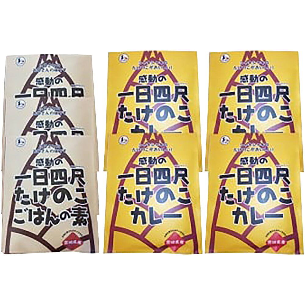 【ふるさと納税】【丸森町特産】 たけのこカレー4個とたけのこご飯のもと 3個【08108】