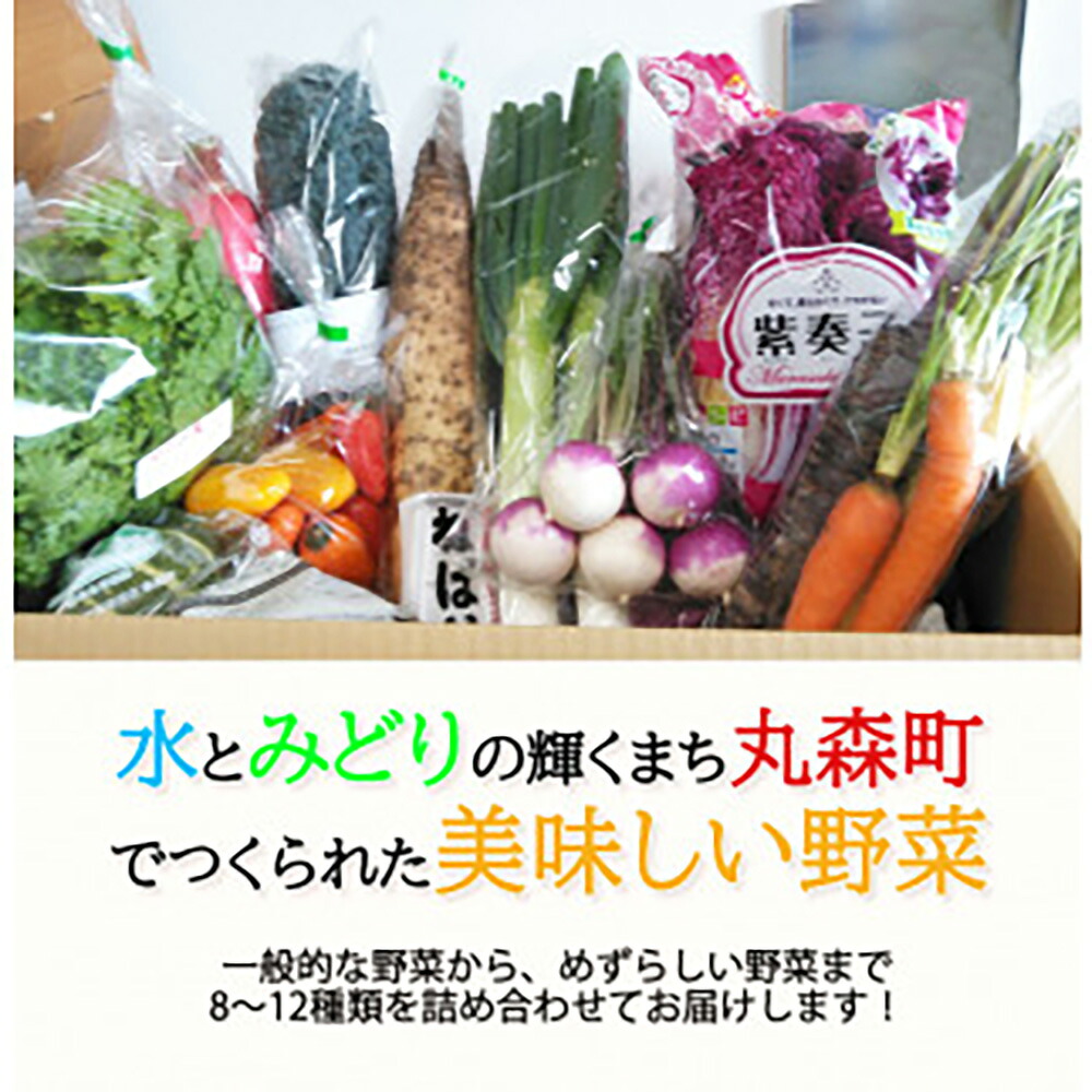 【ふるさと納税】季節のおすすめ野菜おまかせ詰め合わせBOX 8種～12種類 大満足サイズ｜野菜 まとめ買い おまかせ 詰め合わせ 直送 バーベキュー【16102】｜宮城県丸森町
