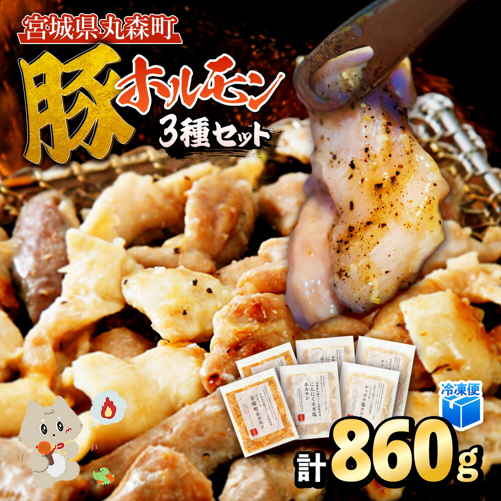 【ふるさと納税】【古今東北】 丸森町大槻ファーム 豚ホルモン3種セット(計860g) | 古今東北 豚ホルモン セット めぐみ野豚 三元豚 豚肉 焼肉 ホルモン 味付き しこうまテッポウ塩 辛味噌 にんにくネギ塩 柔らかい 肉厚 お取り寄せ 宮城県 丸森町 丸森【30102】|宮城県丸森町