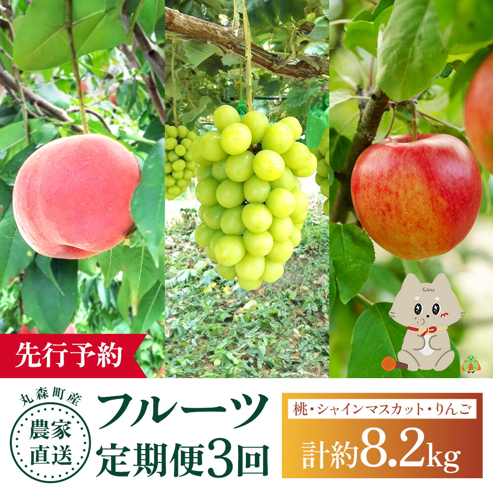 【ふるさと納税】【先行予約】《採れたてを農家直送》 宮城県丸森町産 フルーツ定期便 コース1 （桃・シャインマスカット・りんご） | 桃 5～8玉 2kg 1箱 シャインマスカット 600g以上 2房 ふじりんご 14～18個 5kg 宝ノ木果樹園 お取り寄せ 宮城県 丸森町 丸森【48007】