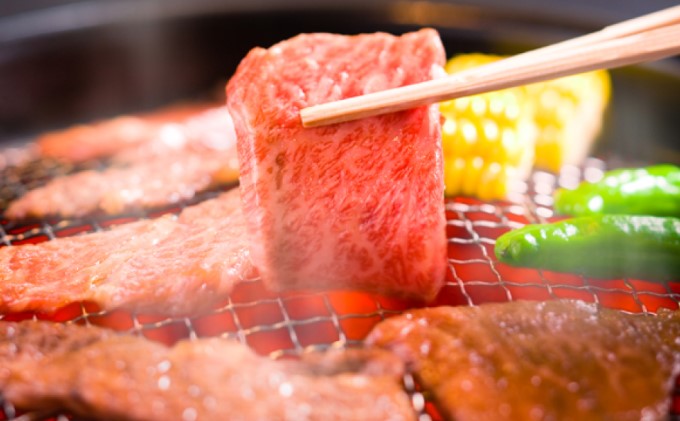 ふるさと納税 宮城県創作 牛食肉肉 仙台牛 カルビ 焼肉 1kg お肉 カルビ 牛 焼肉 丸焼き お届け 21年紀1月色中旬時から順次差したてるを構想しております Marchesoni Com Br