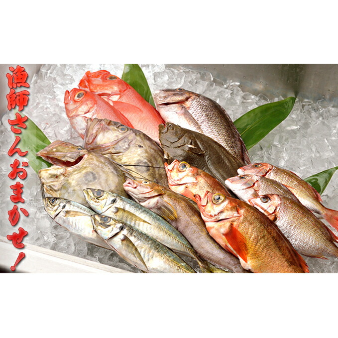 【ふるさと納税】【光勝丸】漁師さんのおまかせ鮮魚セット 魚介類