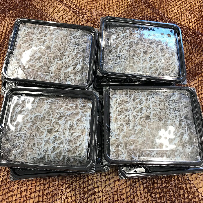 【ふるさと納税】釜揚げしらす（冷凍）80g&times;8パック＜あらはま海苔＞ 魚貝類 ｜宮城県亘理町 10,500円