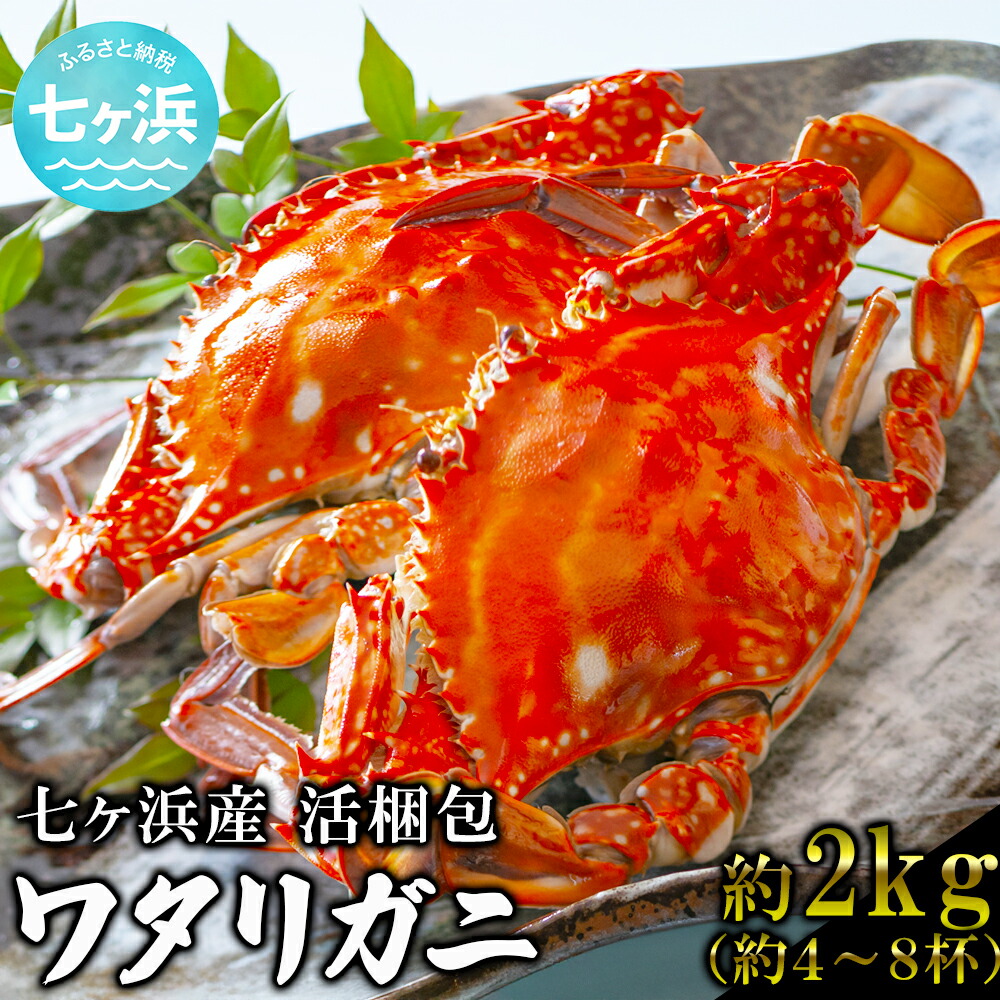 【楽天市場】【ふるさと納税】 先行予約 (2026年10月〜発送) 活 梱包 ワタリガニ 2kg (約5〜8杯) 七ヶ浜産 かに カニ 蟹 渡り蟹 ガザミ 旬 新鮮 パスタ ボイル 海鮮 ケジャン 味噌 蟹肉 鍋 おつまみ 日本酒 グルメ 高級 国産 宮城県 七ヶ浜町 nn-wg02-R8:宮城県七ヶ浜町