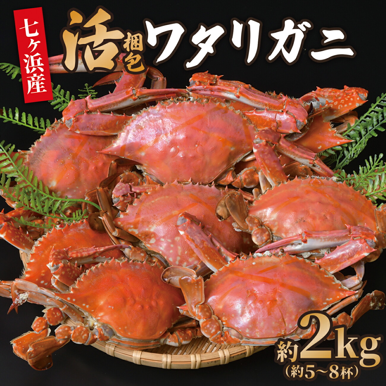 【ふるさと納税】 先行予約 (6月～7月分発送受付)   活 梱包 ワタリガニ 2kg (約5～8杯)  七ヶ浜産 かに カニ 蟹 渡り蟹 ガザミ 旬 新鮮 パスタ ボイル 海鮮 ケジャン 味噌 蟹肉 鍋 おつまみ 日本酒 グルメ 高級 国産 ごはん 宮城県 七ヶ浜町 ｜jf-wg02-R7