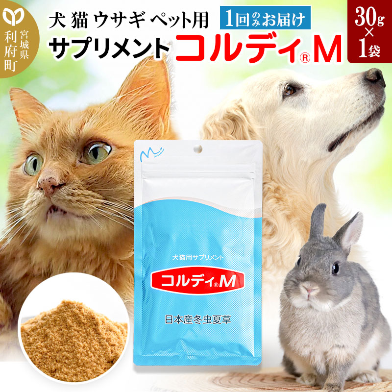 令和6年次 宮城県利府町の献ずる金の実績ニュース記事 - purecosocks.com