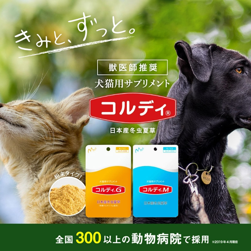 犬 猫 ウサギ パウダー 2袋 冬虫夏草 100g いつものエサにプラス