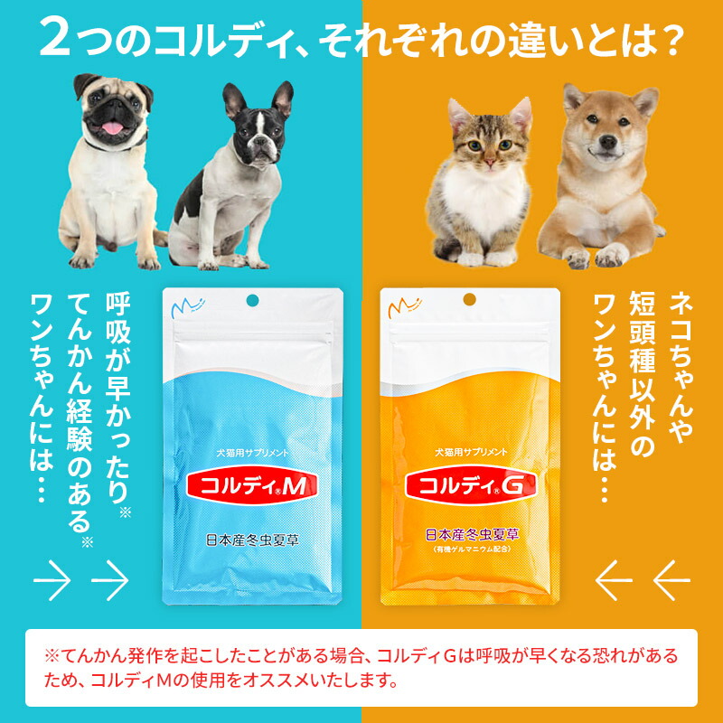 犬 猫 ウサギ いつものエサにプラス！ペット用サプリメント(コルディG