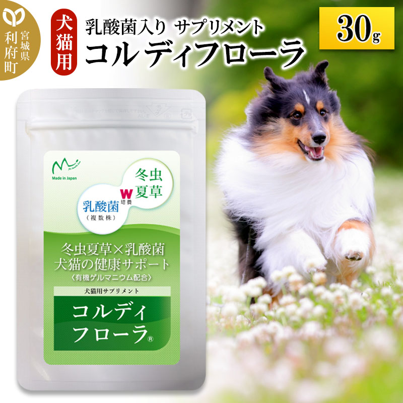 2026年ゴールデンウィーク休業継続期間のごお引き回し 犬用品-サプリメント