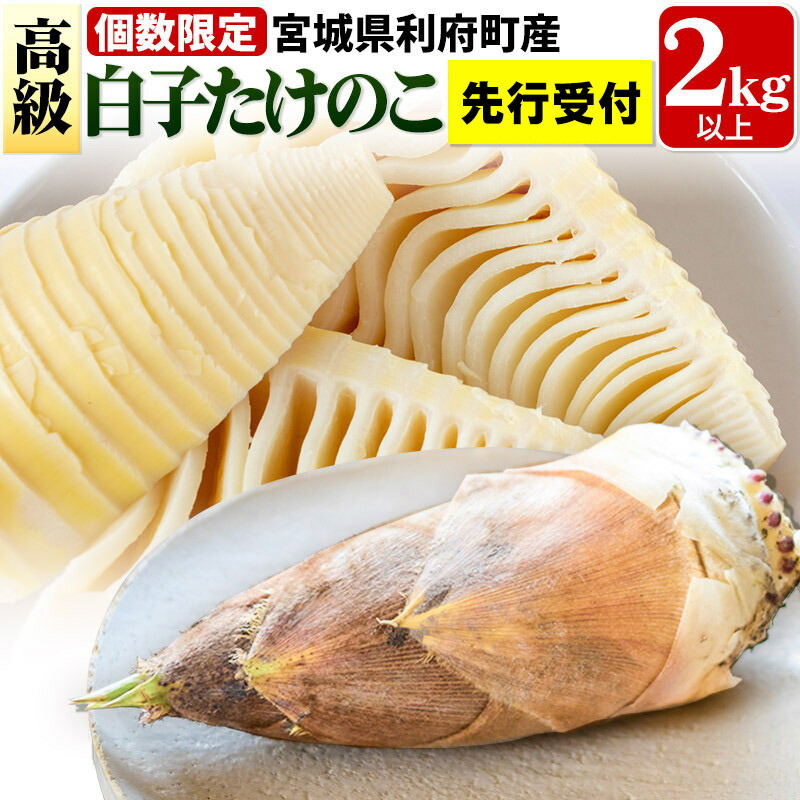 早掘り根付き筍 2kg 先行予約】 早掘り たけのこ 2kg【松永青果】 | 鹿児島県阿久根