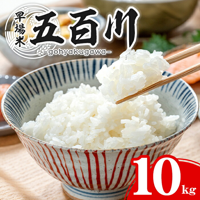 【ふるさと納税】＜令和7年産＞ 五百川 10kg お米 おこめ 米 コメ 白米 早場米 極早生品種 ご飯 ごはん おにぎり お弁当【赤間農業開発株式会社】ta459