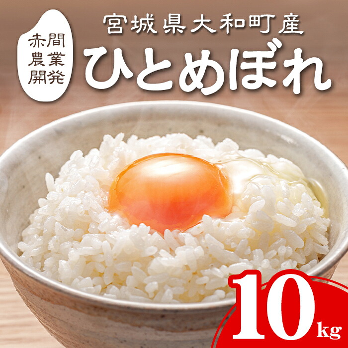 【ふるさと納税】＜令和7年産＞ひとめぼれ 10kg お米 おこめ 米 コメ 白米 ご飯 ごはん おにぎり お弁当【赤間農業開発株式会社】ta461