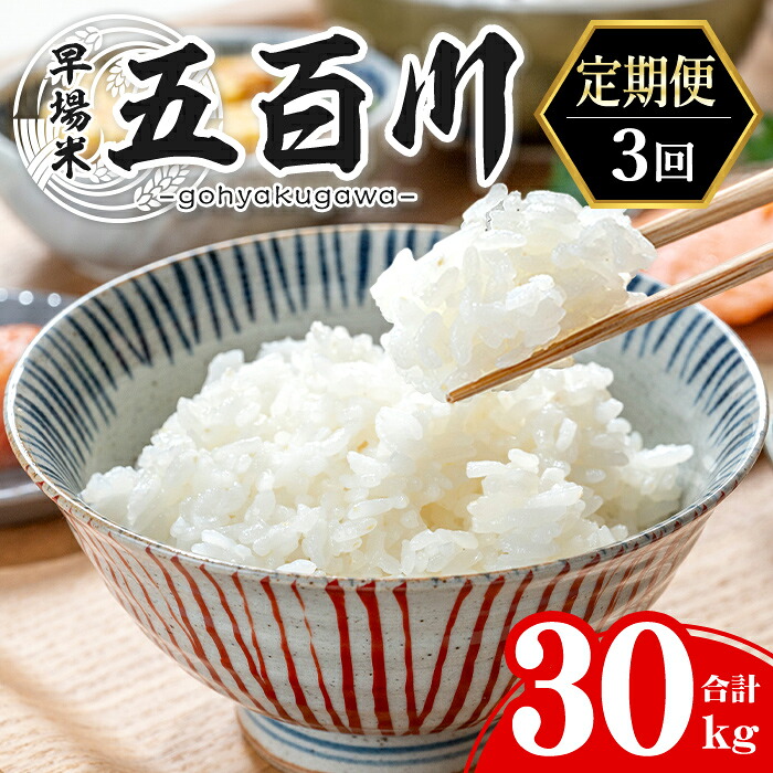 【ふるさと納税】＜3か月定期便＞ 五百川 合計30kg (10kg&times;3回) お米 おこめ 米 コメ 白米 早場米 極早生品種 ご飯 ごはん おにぎり お弁当 頒布会 30kg【赤間農業開発株式会社】ta462・ta463｜宮城県大和町