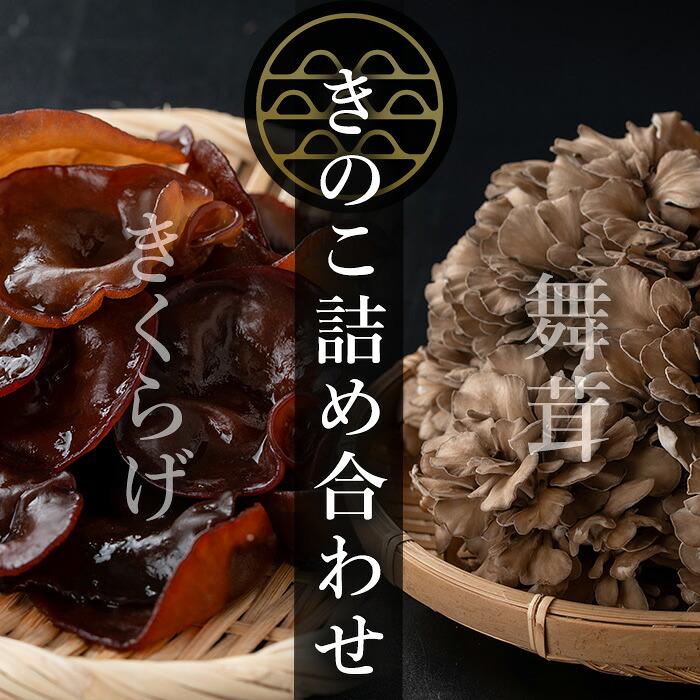 【ふるさと納税】七つ森ふもと舞茸 詰め合わせギフトセット Mサイズ まいたけ マイタケ きくらげ きのこセット 農家直送 天ぷら すき焼き 炊き込みご飯 宮城県産 ギフト 詰め合わせ【株式会社七つ森ふもと舞茸】ta326|宮城県大和町