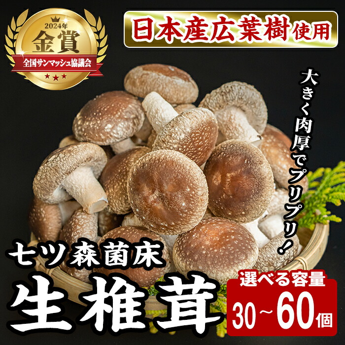 【ふるさと納税】七ツ森菌床椎茸（15個×2袋・15個×4袋）選べる容量 肉厚 生椎茸 しいたけ シイタケ きのこ 炊き込みご飯 和食  小分け ステーキ 肉詰め 国産 宮城県産 【農事組合法人七ツ森菌床椎茸生産組合】ta385・ta386