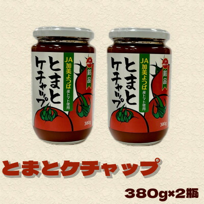 【ふるさと納税】とまとケチャップ　380g×2個　宮城県　色麻町【配送不可地域：離島・沖縄県】【1593056】