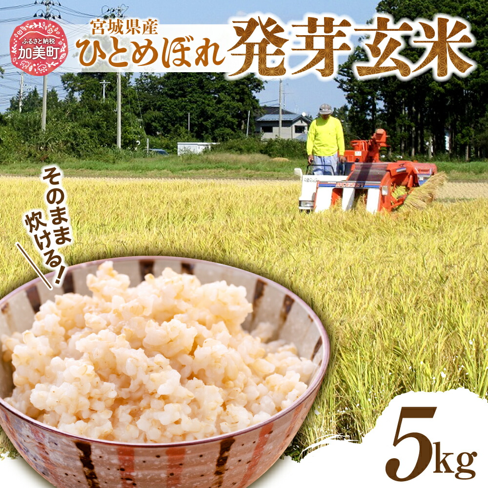 【ふるさと納税】発芽玄米 簡単に炊ける 宮城県産 ひとめぼれ 発芽 玄米 5kg （ 1kg × 5袋 ）  / 菅原商店 / 宮城県 加美町 白米 に 混ぜる だけ ！ 簡単 炊飯 玄米 sg00004-r601-5kg