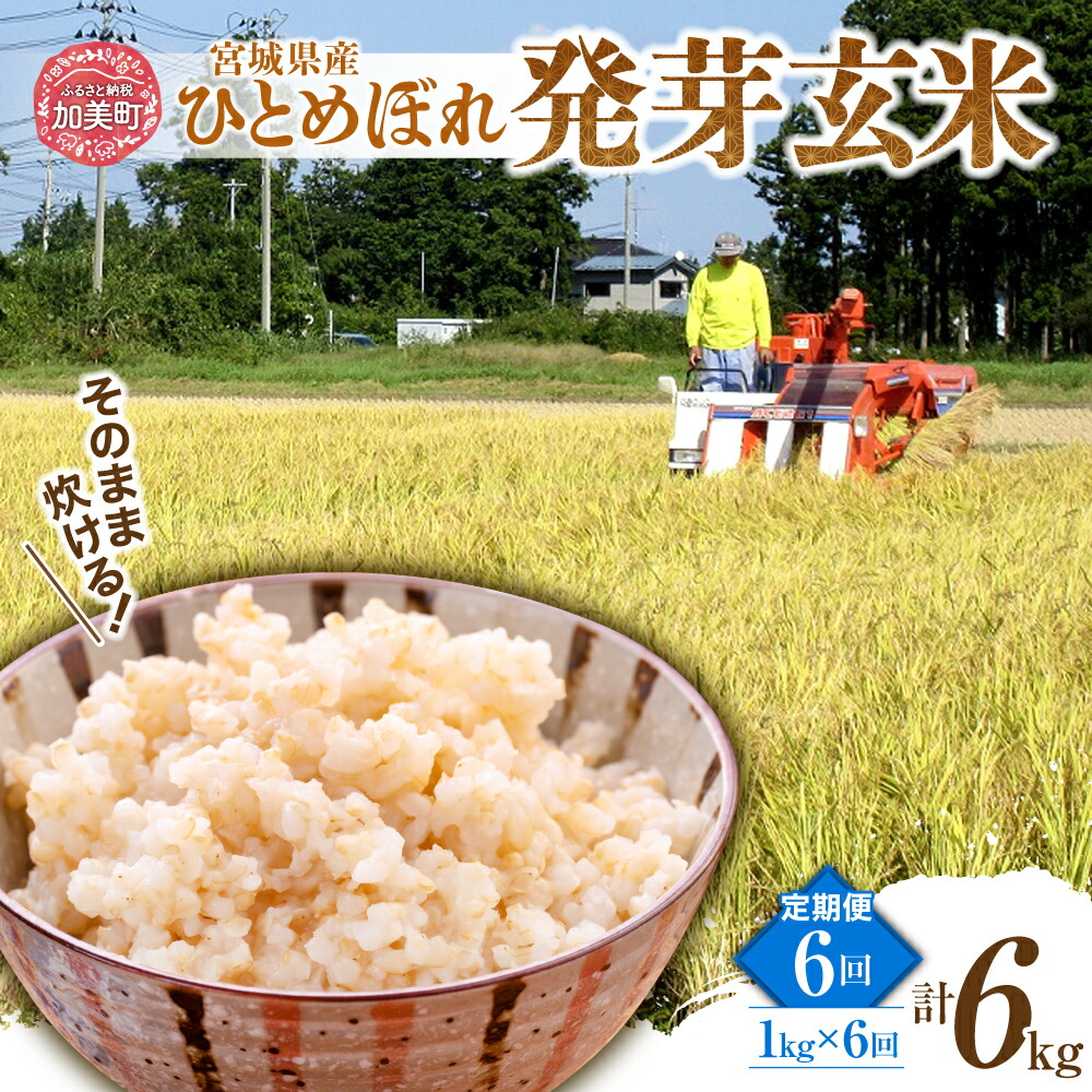 【ふるさと納税】定期便 6ヶ月 簡単に炊ける 宮城県産 ひとめぼれ 発芽玄米 計 6kg ( 1kg × 6回 )  菅原商店 宮城県 加美町 sg00004-r601-1kg-6 お米 米 玄米 げんまい