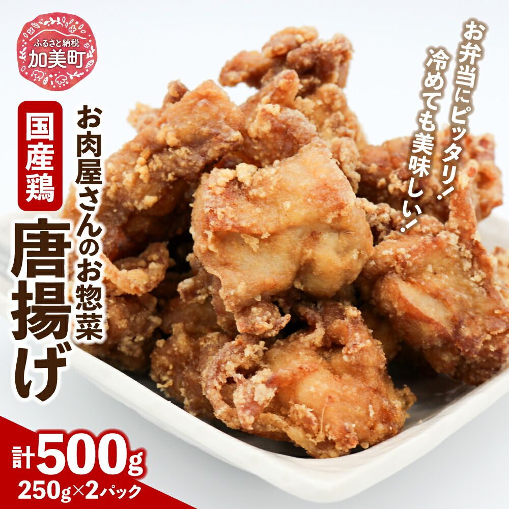 【ふるさと納税】唐揚げ 【お肉屋さんのお惣菜】国産鶏唐揚 250g×2p 計500g [関精肉畜産 宮城県 加美町 44581356] 国産 鶏の唐揚げ からあげ レンジ 惣菜 弁当 簡単 冷凍