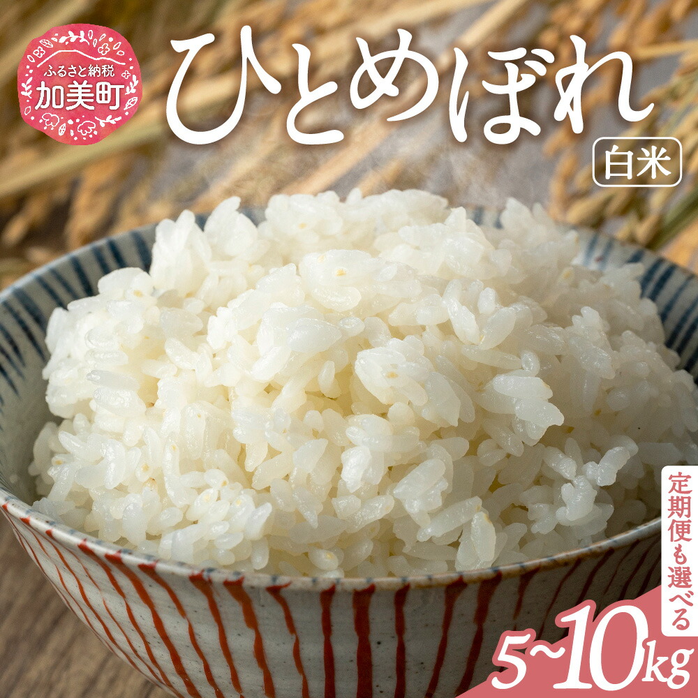 【ふるさと納税】【選べる内容量/定期便】 米 宮城県産 ひとめぼれ 5kg 10kg 定期便 2～6回 ブランド米 白米 精米 ご飯 ごはん コメ こめ お米 小分け 家庭用 宮城県 加美町 yu00001-r6-5kg