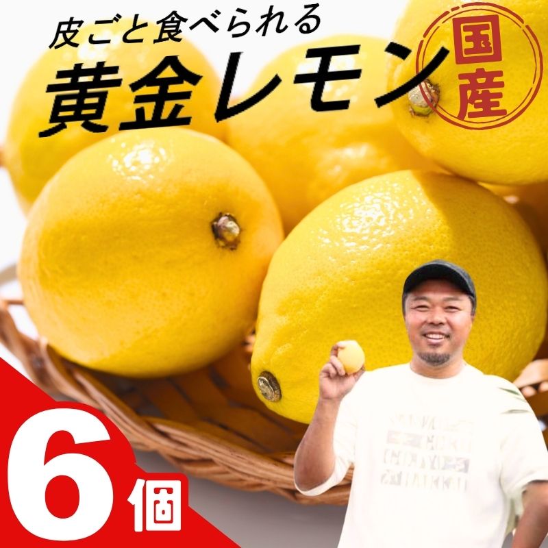 【ふるさと納税】 レモン 皮まで美味しい 黄金レモン 6個セット | レモン れもん 檸檬 柑橘 フルーツ 果物 くだもの 国産 高糖度 酸味 産地直送 送料無料 ※1月上旬～2月下旬頃に順次発送予定