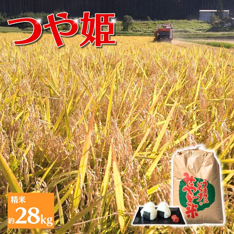 【ふるさと納税】☆総合ランキングイン☆ 【環境保全米】アグリとみたの 令和7年産 つや姫 精米 約28kg 米 お米 こめ 白米 ご飯 ライス つやひめ 産地直送 数量限定 ブランド米 送料無料画像